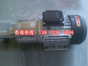 CQB型微型磁力齒輪泵